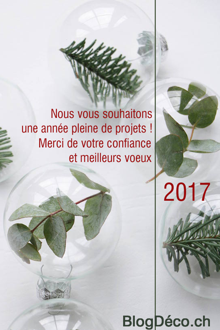 petit-voeux-2017-blog